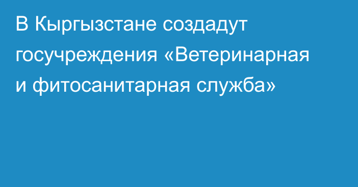 В Кыргызстане создадут госучреждения «Ветеринарная и фитосанитарная служба»